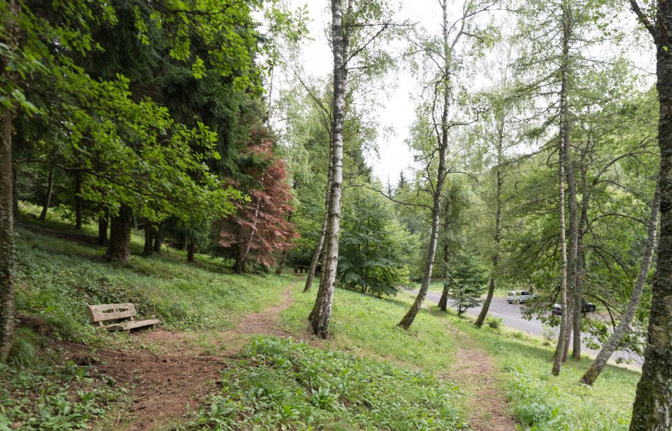 Arboretum de Royat, Royat, France, France